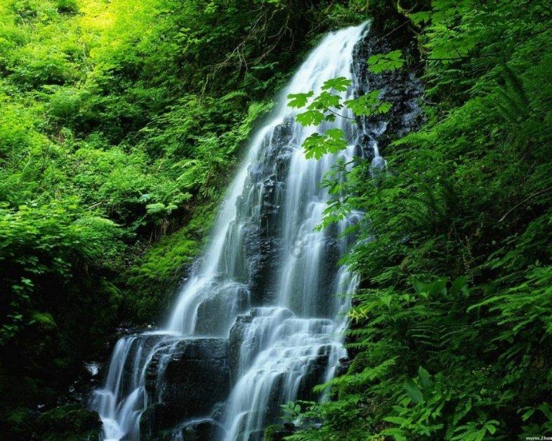 逃离比利部落小屋